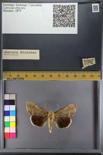 Media type: image;   Entomology 639480